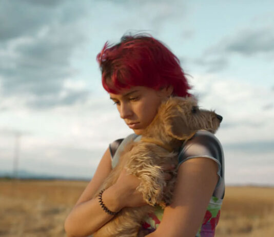 ‘Rainbow’ – Trailer 1