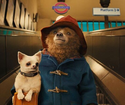 ‘Paddington: Aventura en la selva’ – Trailer (VO)