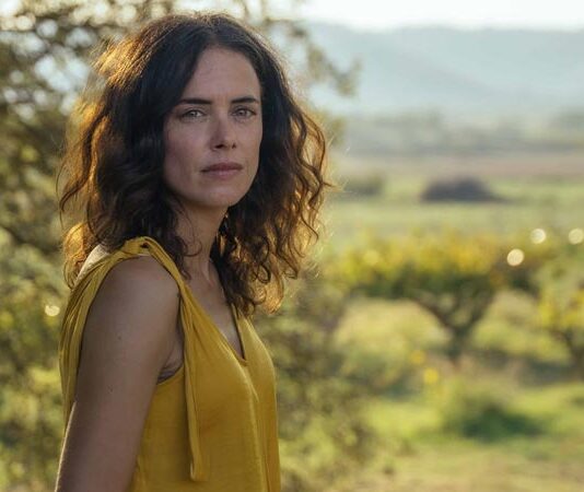 ‘Los destellos’ – Trailer