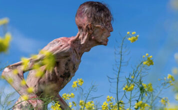 ’28 años después’ – Trailer final español