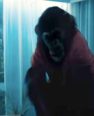 ‘Primate’ – Trailer español