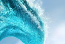 Vaiana (Thomas Kail)