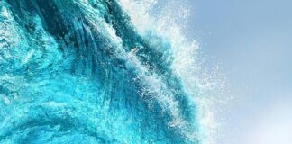 Vaiana (Thomas Kail)