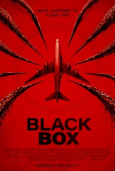 Black Box: Vuelo 298