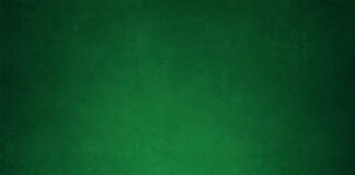 Shrek 5 (Walt Dohrn y Conrad Vernon)