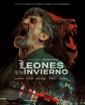Leones en invierno (Albert Pintó)