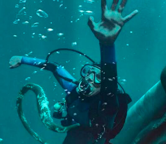 ‘Whalefall’ – Trailer final español